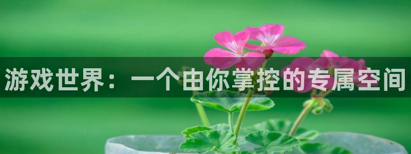 沐鸣官方登录网址