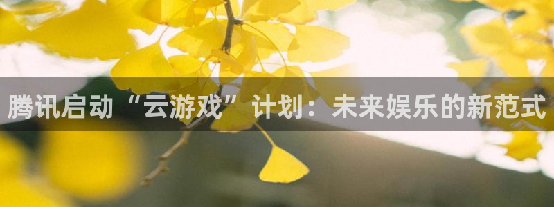 沐鸣娱乐账号怎么注册