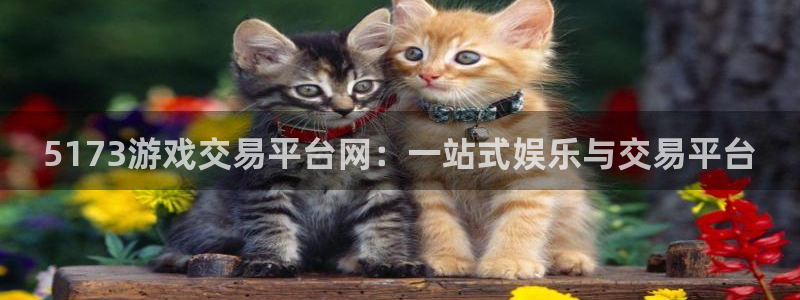 沐鸣娱乐注册登录平台是什么：5173游戏交易平台网：一站式娱