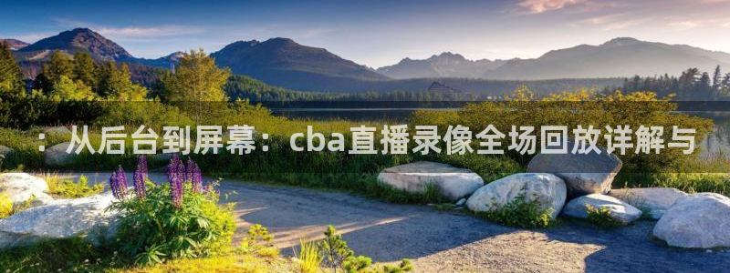 黑白直播官网体育：：从后台到屏幕：cba直播录像全场回放详解与