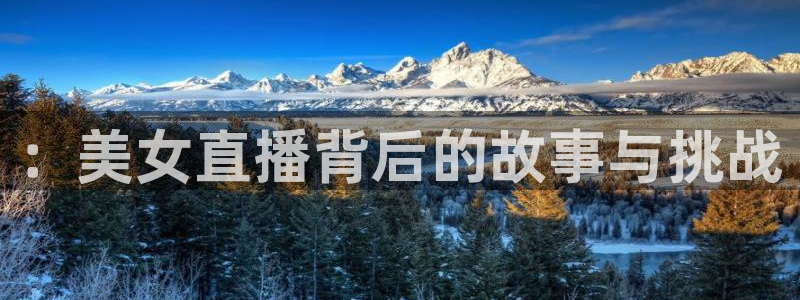 黑白看球直播