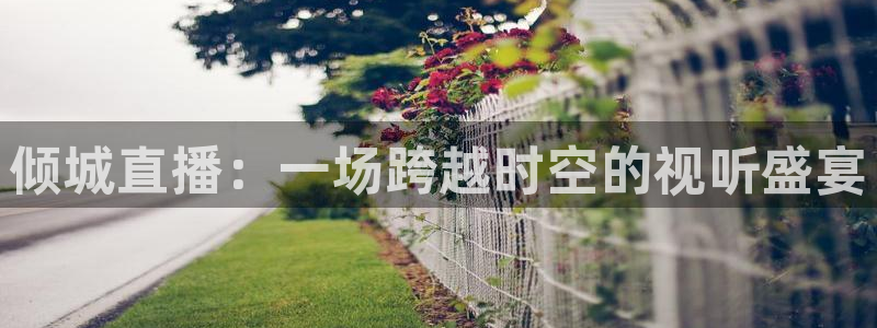 黑白直播免费高清看球神器：倾城直播：一场跨越时空的视听盛宴