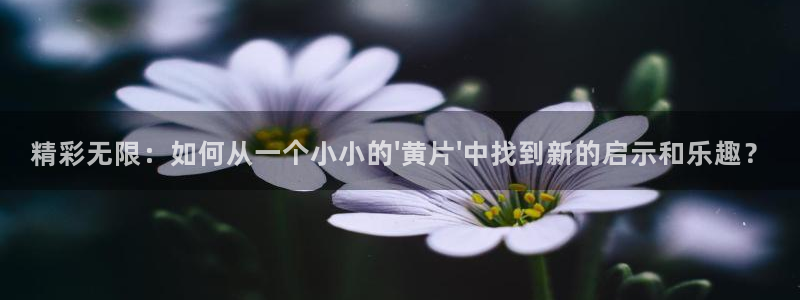 黑白直播nba免费观看下载篮球：精彩无限：如何从一个小小的\'黄片\'中找到新的启示和乐趣？