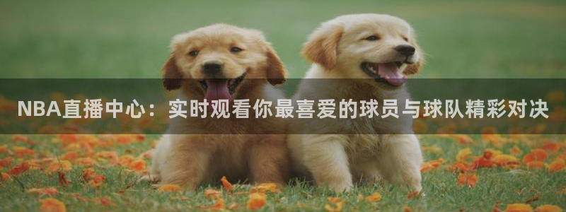 黑白直播nba直播吧：NBA直播中心：实时观看你最喜爱的球员与球队精彩对决