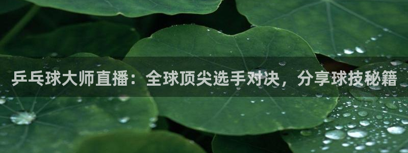 足球黑白直播：乒乓球大师直播：全球顶尖选手对决，分享球技秘籍
