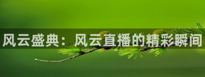 黑白直体育直播：风云盛典：风云直播的精彩瞬间