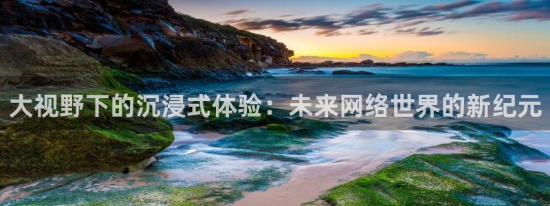 黑白直播在线篮球：大视野下的沉浸式体验：未来网络世界的新纪元