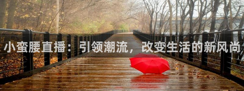 黑白体育直播在线免费观看：小蛮腰直播：引领潮流，改变生活的新风尚