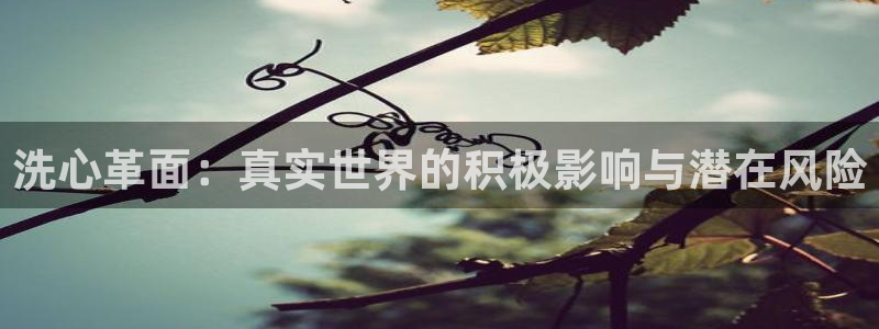 黑白直播体育app下载：洗心革面：真实世界的积极影响与潜在风险