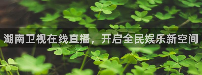黑白直播官网体育：湖南卫视在线直播，开启全民娱乐新空间