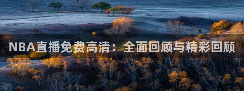 黑白直播足球直播