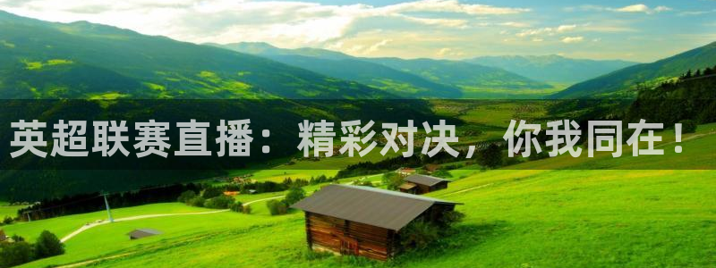 黑白体育直播篮球