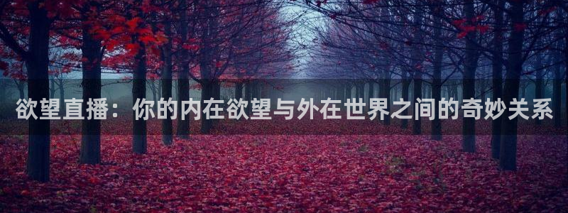 nba黑白直播观看：欲望直播：你的内在欲望与外在世界之间的奇妙关系
